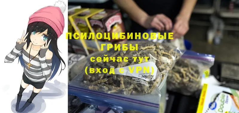 Псилоцибиновые грибы Psilocybe  Верея 